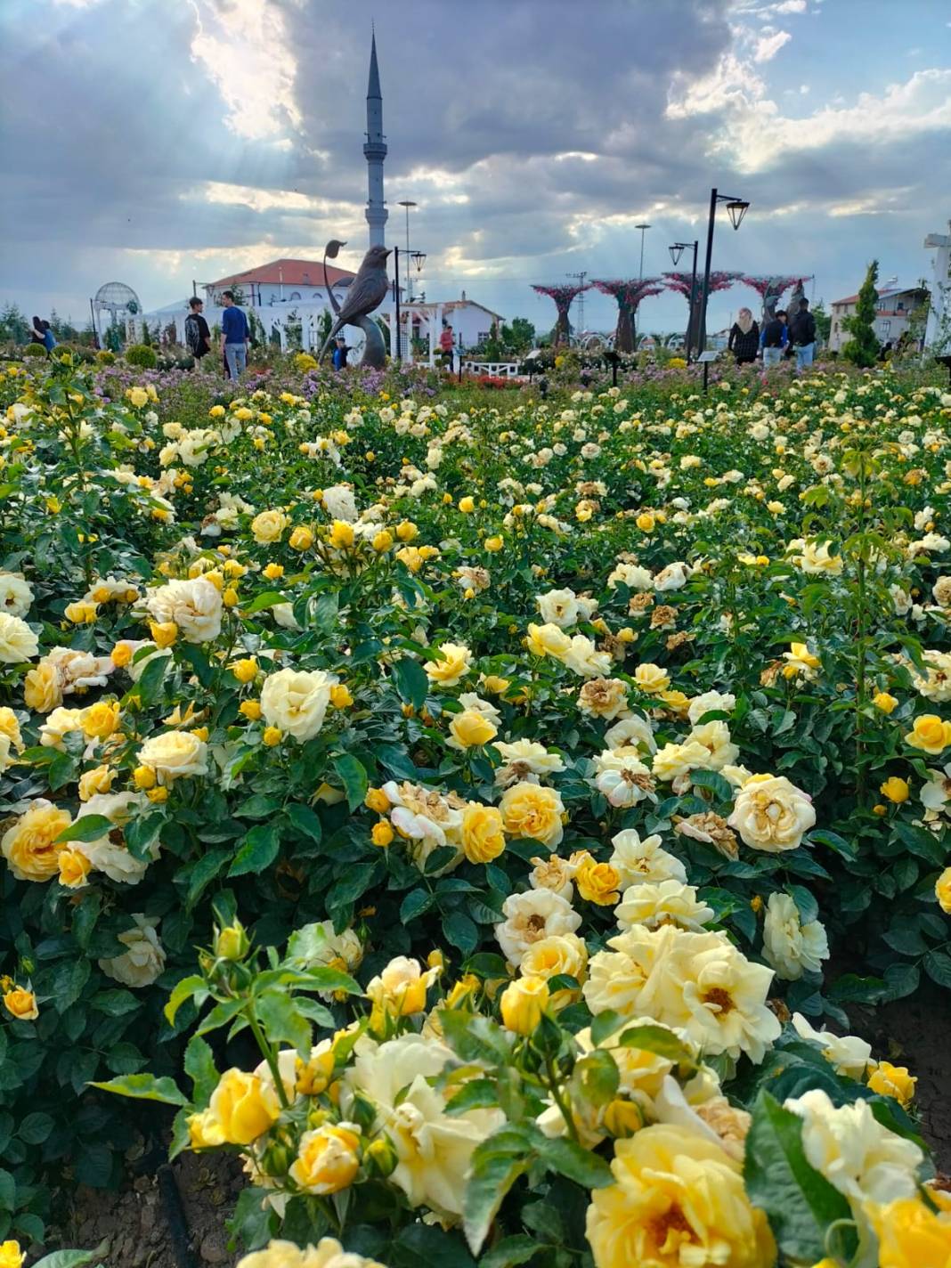 Konya’nın eşsiz bahçesi ziyaretçi akınına uğruyor 9